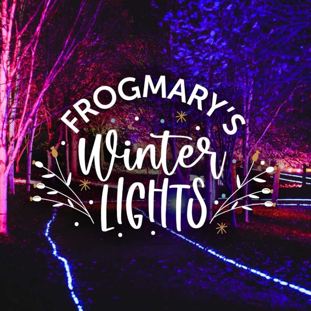Winter Lights Trail event at Frogmary Green Farm
