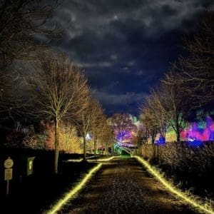 winter lights trail at Frogmary green farm